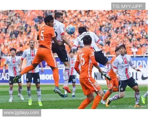 悉尼与惠灵顿凤凰的精彩对决比分揭晓，赛季战况分析与未来展望