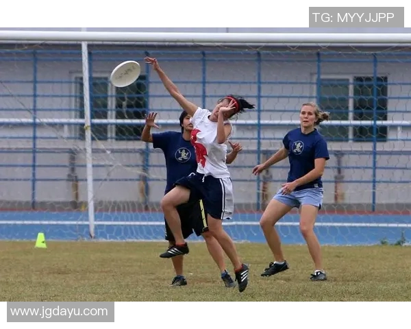 精彩曲棍球瞬间集锦展现运动魅力与团队精神的完美结合