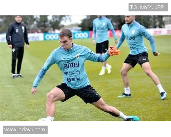 乌拉圭与厄瓜多尔精彩对决全场录像回放及精彩瞬间分析