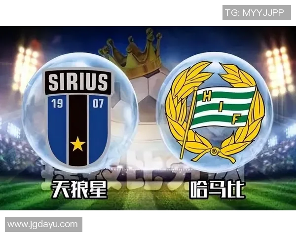 天狼星与哈马比917的精彩对决解析与赛前预测